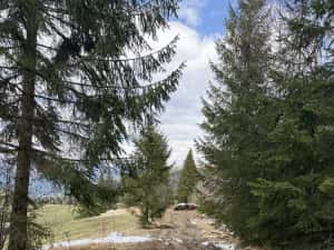 Teren rarau 10 min de partie extravilan parcela de jumatate 5600mp — miniatura 7