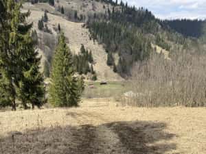 Teren rarau 10 min de partie extravilan parcela de jumatate 5600mp — miniatura 8