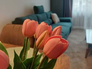 Apartament 2 camere | PRIMA INCHIRIERE | Parcare subterana — miniatura 1