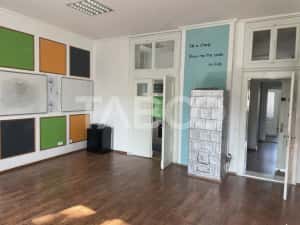 Spatiu comercial de inchiriat 100 mp Nicolae Balcescu — miniatura 2