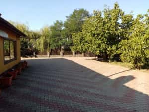 vand casa pensiune cu helesteu aproape de Timisoara-locatie excelenta! — miniatura 4