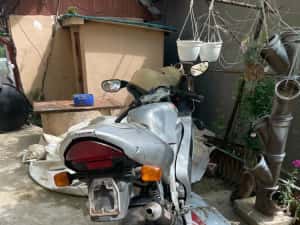 Aprilia Rs50 acte Italia — miniatura 3
