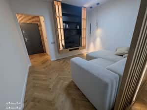 Comision 0 | Studio Premium Brâncuși | finisaje lux | AC | et.3 — miniatura 1