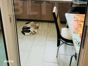 Apartament 2 camere zona centrala, Ludus — miniatura 3