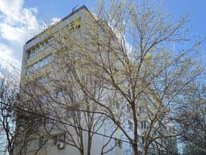 2 Camere de Vanzare- Vedere Parcul Circului-Etaj 7 — miniatura 6