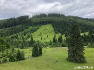 Teren extravilan munte Panaci Vatra Dornei — miniatura 3