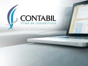 Contabilitate/expert contabil CECCAR/könyvelő — miniatura 4
