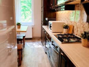 Apartament 4 camere in zona UMFST ( Romanu Vivu ) — miniatura 3