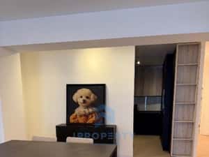 Herastrau | 4 Camere | Centrala | X2 Balcon | Parcare | Renovat 2025 | — miniatura 6