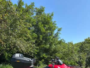 Honda Trx Fourtrax 420 4x4 — miniatura 6
