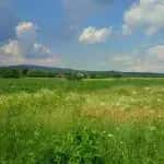 Teren in Urleta,intravilan industrial — miniatura 3