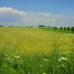 Teren in Urleta,intravilan industrial — miniatura 4