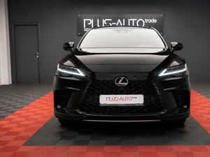 Lexus RX 500 Hibrid 2023 - 28.929 km — miniatura 3