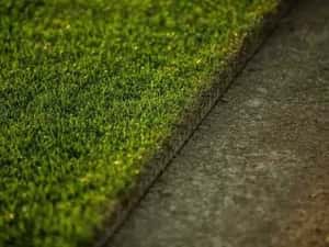 Producător rulouri de gazon ferma Sălaj — miniatura 8