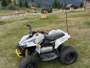 Atv copii Can Am Renegade 110 — miniatura 3