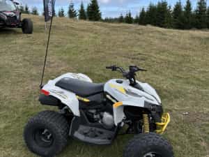 Atv copii Can Am Renegade 110 — miniatura 9