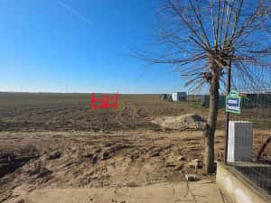 Teren intravilan 500 mp Vidra, Ilfov — miniatura 5