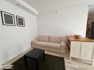 Apartament tip studio de inchiriat in Cosmopolis — miniatura 3