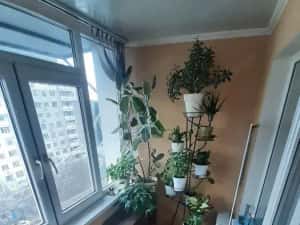 Apartament doua camere zona Aparatorii Patriei — miniatura 7