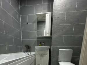 Apartament cu 2 camere de inchiriat Unirii — miniatura 5