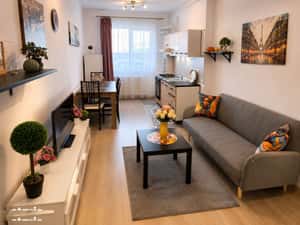 Apartament 2 camere | Bloc nou | Aer condiționat | Prima închiriere — miniatura 3