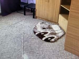 Inchiriere garsoniera — miniatura 4