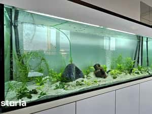 Apartament 2 Camere spatios Pipera - Emil Racovita — miniatura 4