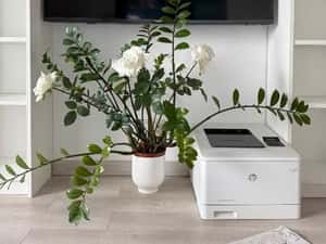 APARTAMENT 2 CAMERE | SOSEAUA ORHIDEELOR | PRIMA INCHIRIERE — miniatura 6
