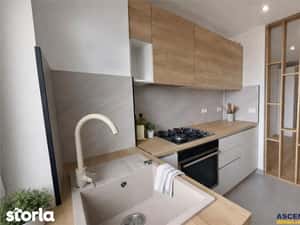 PET Friendly Prima inchiriere, vedere spectaculoasa catre munti, Garii — miniatura 4