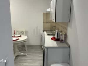 Studio Dublu Tineretului I Ideal Investitie — miniatura 6