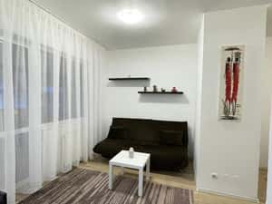 Închiriez Studio 43mp – Cartierul Brâncuși, Sector 6 — miniatura 3