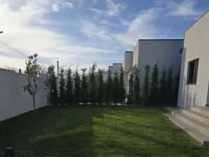 Vila P+1 de inchiriat LAZU — miniatura 2
