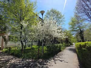 Ap. 2 cam + Debara, Balcon, Pivnita, Renovat, Zona Deosebita |VIDEO