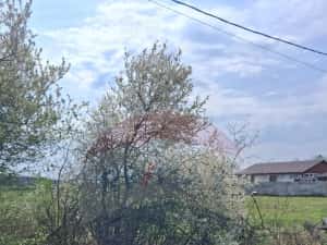 Vand teren pentru casa 1439.0 mp front stradal 19 • Santaul Mare, Bihor — miniatura 3