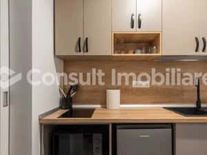 Apartament de tip Studio | FSEGA| Iulius MALL — miniatura 4