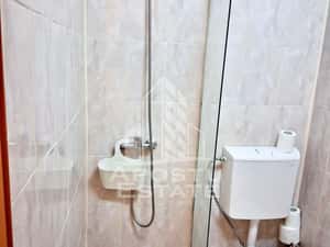 Garsoniera de inchiriat, zona Complexul Studentesc, Timisoara — miniatura 6