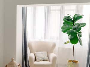 Apartament 3 camere Decomandat, Etaj 1, Cartier 9 Mai Ploiesti — miniatura 3