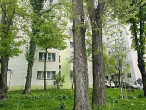 Apartament 3 Camere Fabrica de Gheață, Colentina — miniatura 4