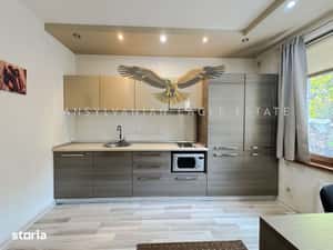 Plopilor/Cluj Arena|2 camere, 50 mp utili|situat la parter in vila — miniatura 6
