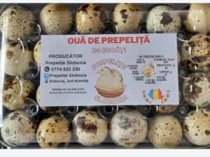 Ouă de prepeliță pt INCUBAT, cu Livrare în TOATĂ ȚARA. Garanție transp — miniatura 4