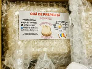 Ouă de prepeliță pt INCUBAT, cu Livrare în TOATĂ ȚARA. Garanție transp — miniatura 6