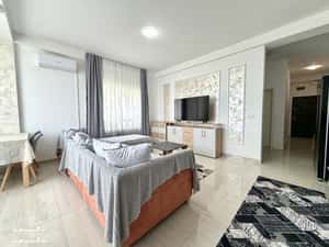 Apartament modern, 2 camere, 52.5 mp utili, etaj 2 - Dumbravita — miniatura 1