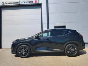 Lexus NX350 h Luxury – Disponibil acum la Toyota Timișoara! — miniatura 2