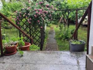 cazare Beach, Please! 2026 Costinesti — miniatura 10