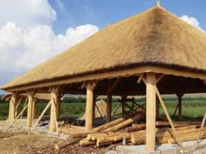 SNOPI STUF/ REED BUNDLES, Acoperis stuf, Umbrele stuf, FACTURA — miniatura 8