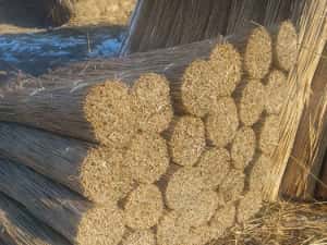 SNOPI STUF/ REED BUNDLES, Acoperis stuf, Umbrele stuf, FACTURA — miniatura 10