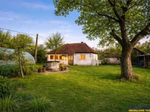 FILM! Casa cu sura, pivnita, balta cu pesti, 2.280 mp teren roditor, Lemnia, Covasna
