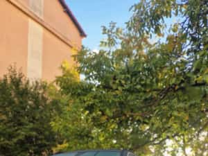 Opel Insignia B 2019 — miniatura 3