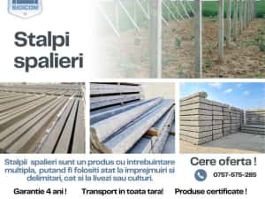 PRODUCATOR Garduri , Stalpi Spalieri  si Boltari din beton ! — miniatura 2