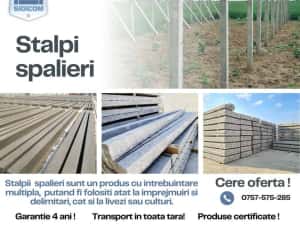 PRODUCATOR Garduri , Stalpi Spalieri  si Boltari din beton ! — miniatura 10